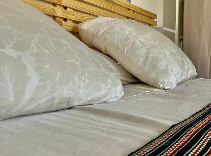 Tytoun Evasion * 博尔戈